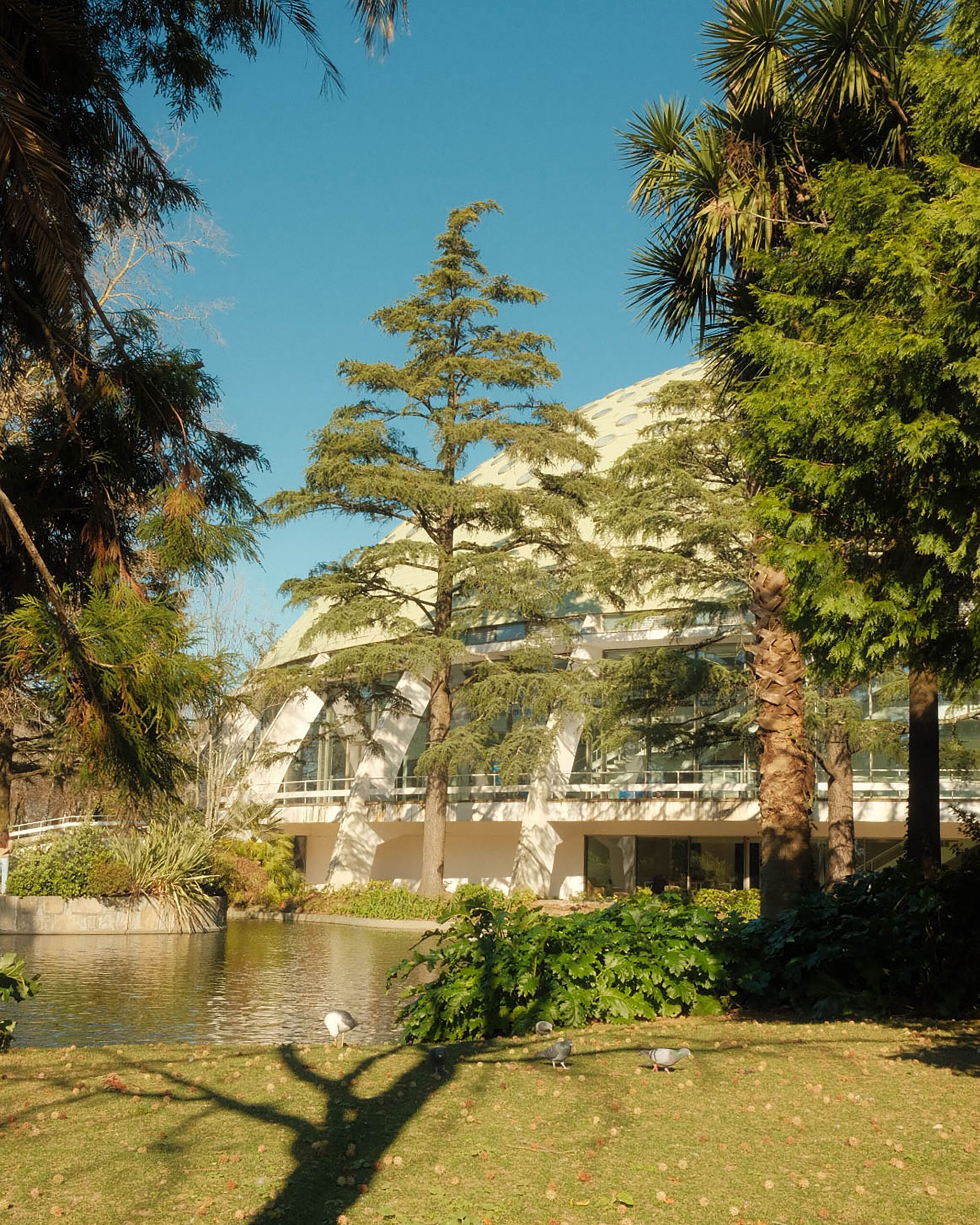 Ogrody Jardins do Palácio de Cristal w Porto z widokiem na rzekę Duero