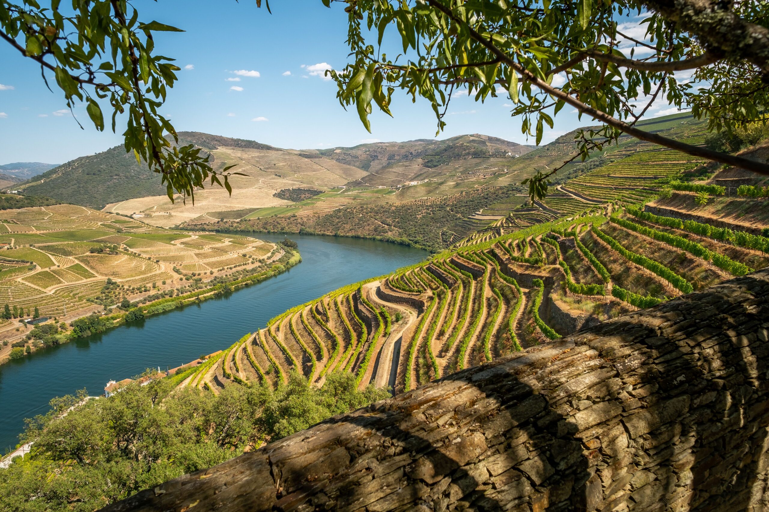 Dolina Douro w Portugalii
